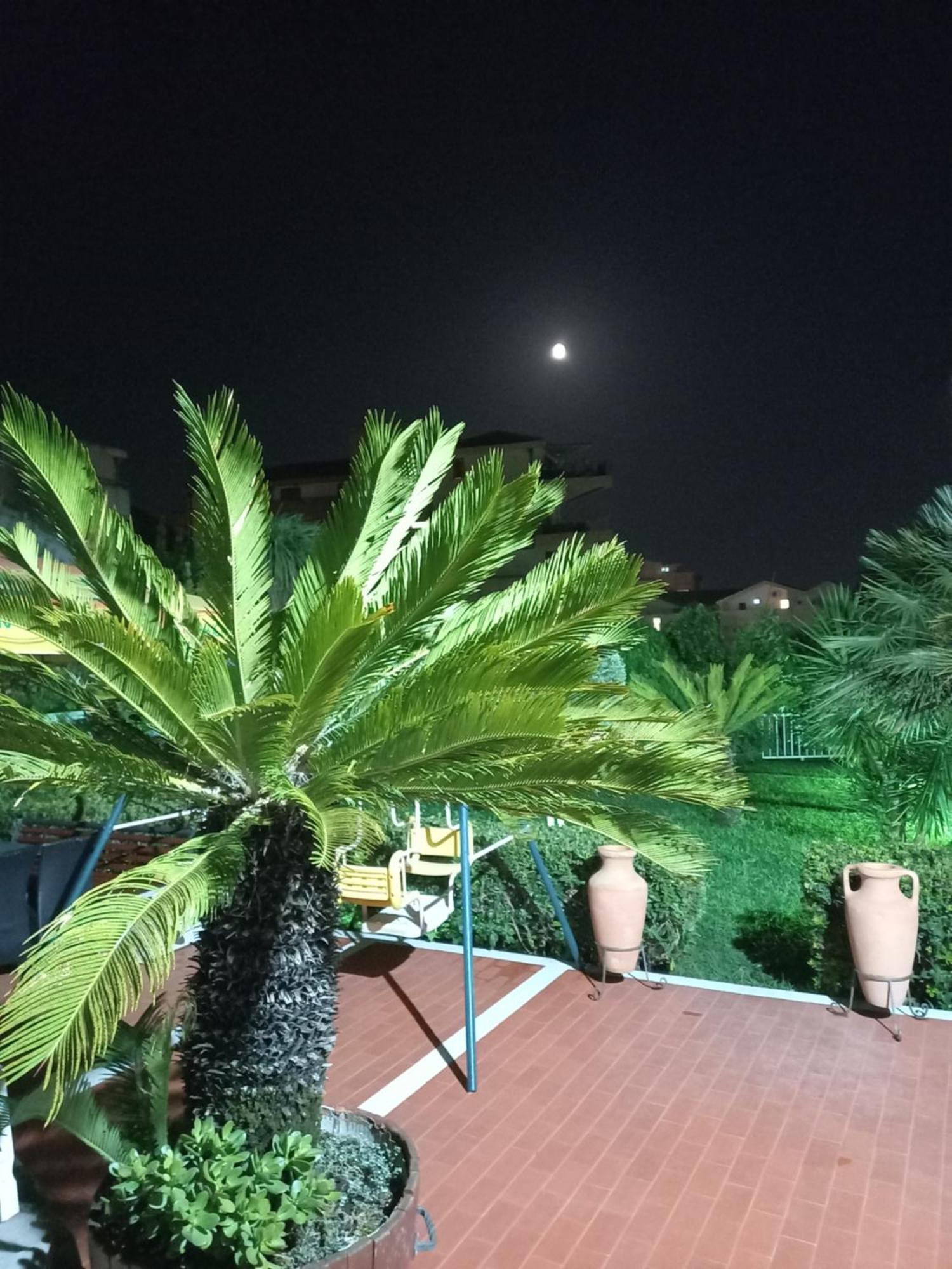 فندق Vila L بودفا المظهر الخارجي الصورة
